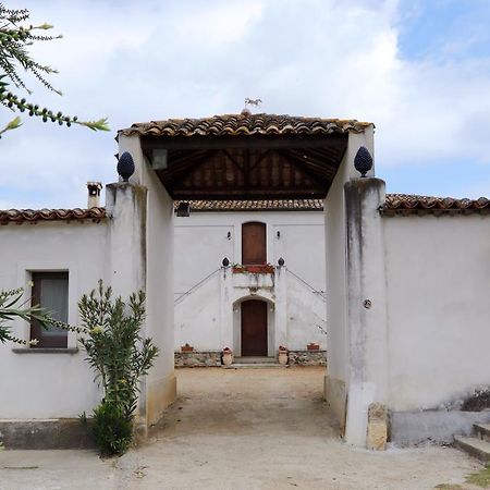 B&B Vaiana Maida Εξωτερικό φωτογραφία