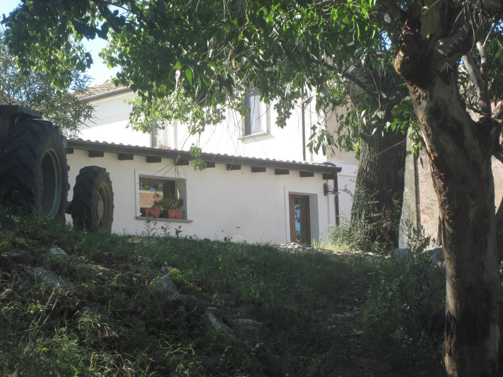 B&B Vaiana Maida Εξωτερικό φωτογραφία