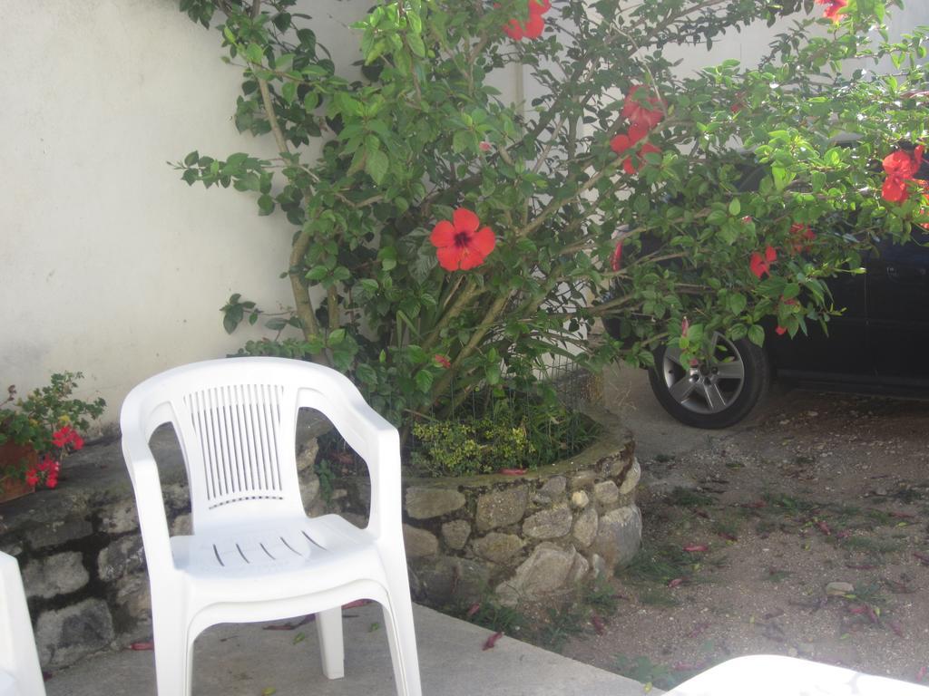 B&B Vaiana Maida Εξωτερικό φωτογραφία
