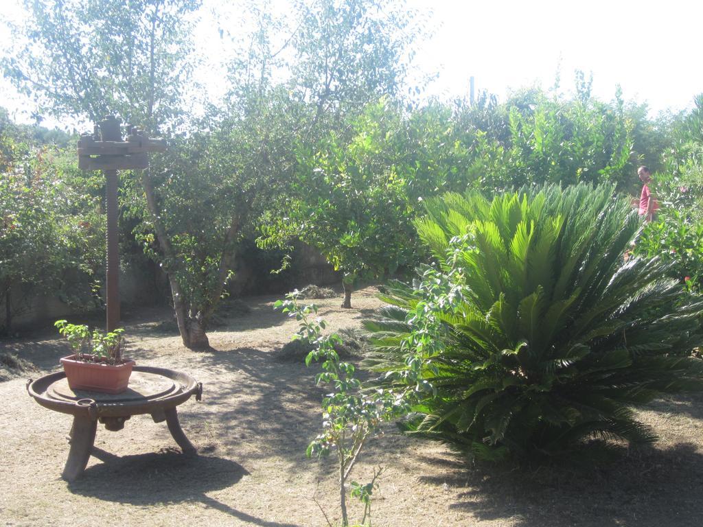 B&B Vaiana Maida Εξωτερικό φωτογραφία