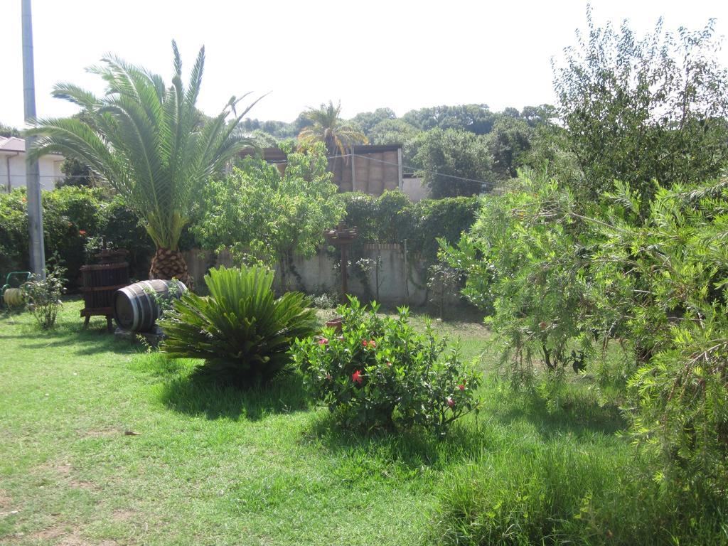B&B Vaiana Maida Εξωτερικό φωτογραφία