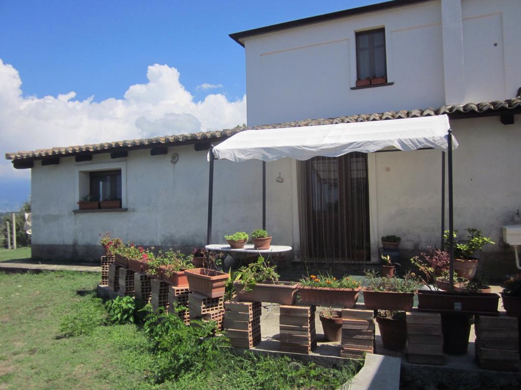 B&B Vaiana Maida Εξωτερικό φωτογραφία