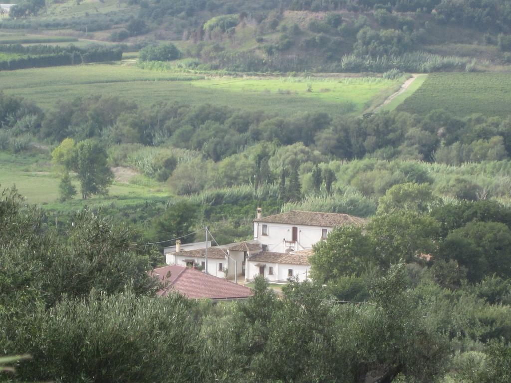 B&B Vaiana Maida Εξωτερικό φωτογραφία