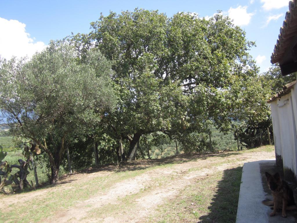 B&B Vaiana Maida Εξωτερικό φωτογραφία