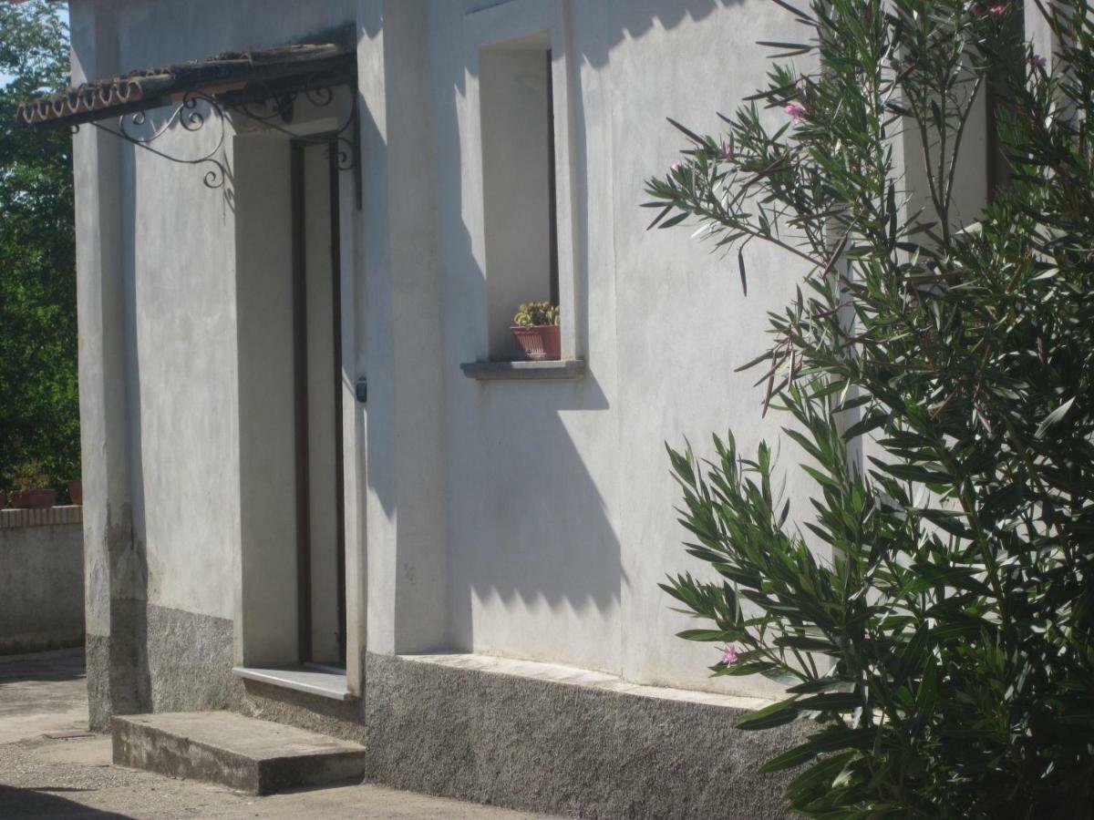 B&B Vaiana Maida Δωμάτιο φωτογραφία